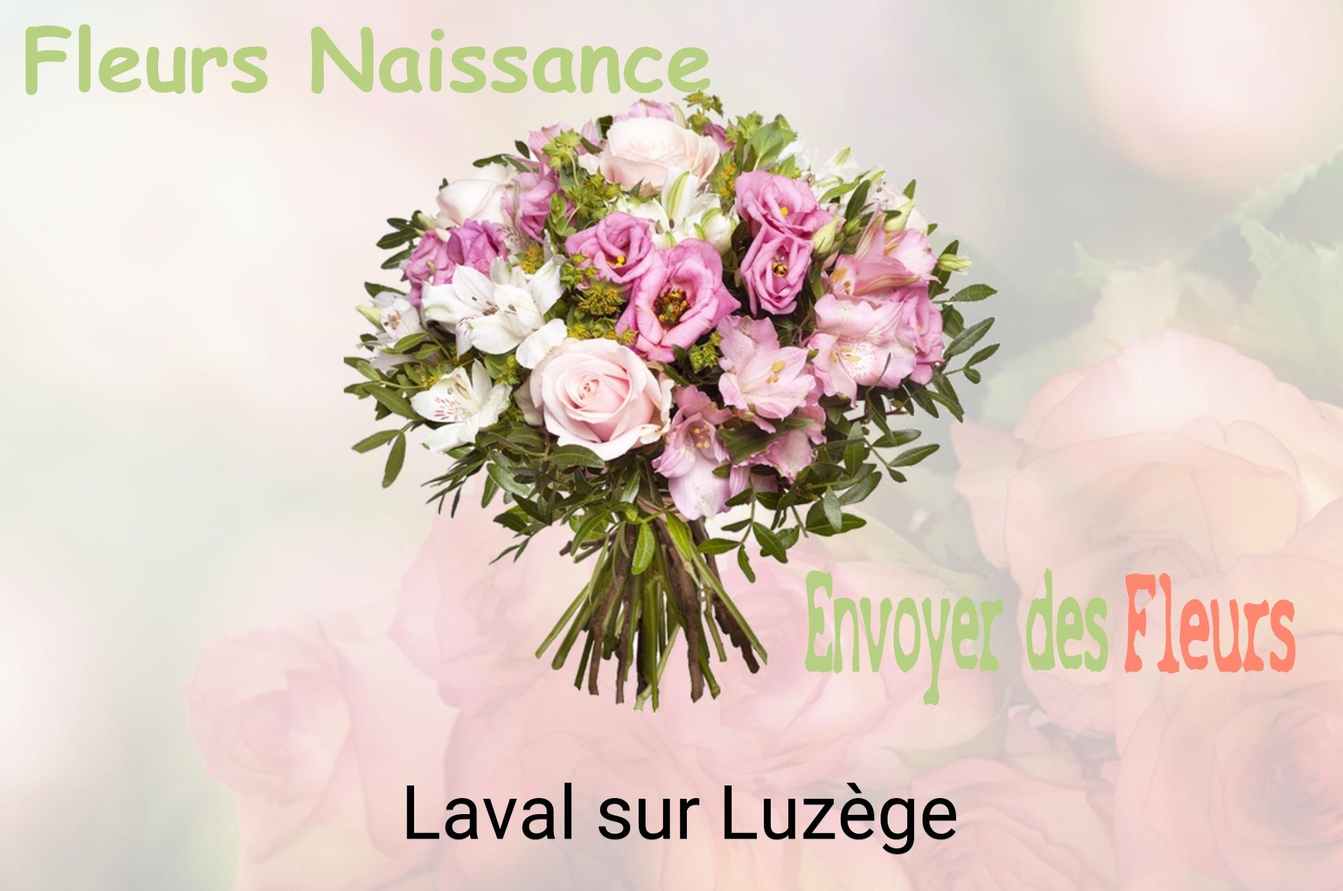 Bouquet de fleurs de naissance livré à Laval-sur-Luzège
