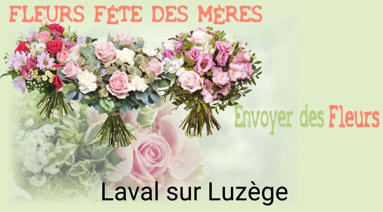 Bouquet de Fête des Mères livré à Laval-sur-Luzège